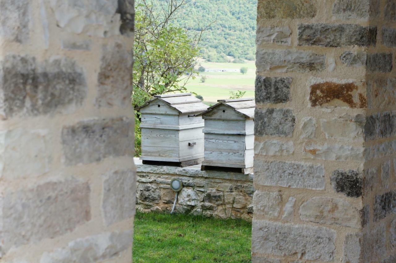 "Apeiros Chora" Hotel, Zagori Kato Pedina Exteriör bild